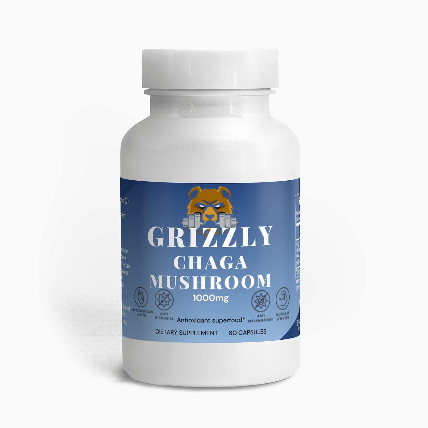 Chaga Mushroom